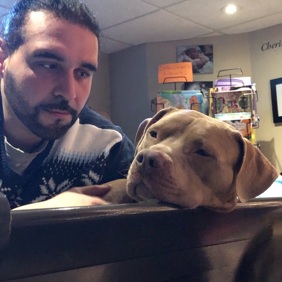 Meet your Posher, Ron - Picture 1 of 1